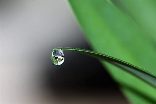 One water drop